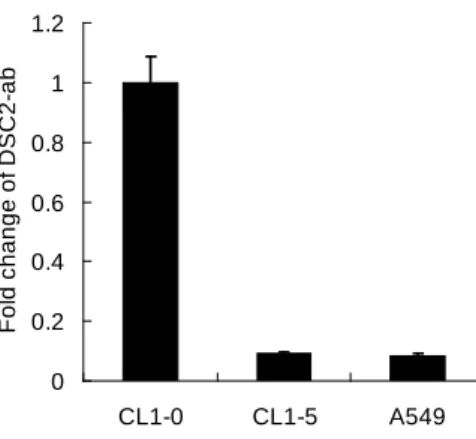 圖  2.  以及時定量 PCR 的方式分析 Desmocollin-2-ab 在侵入能力不同的細胞株中 mRNA 表現量的差異。