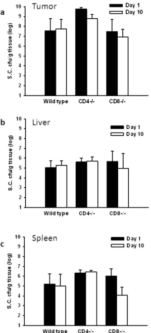 Fig. 2. The spatial and temporal distribution of S. Choleraesuis (S.C.) in T-cell-deficient and