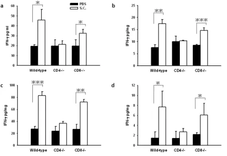 Fig. 4. Effects of S. Choleraesuis (S.C.) on cytokine induction in T-cell-deficient and wild-type