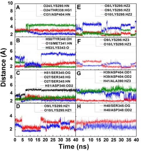 Figure 15 summarizes the RMSD and total energy trajectories of the ligands during MD. All compounds, with the exception of 9HFG from 20–24 ns, had relatively stable ligand RMSDs