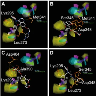 Figure 10. Spatial contour of test ligands to generated CoMSIA maps. Color blocks represent favor/disfavor steric field (green/yellow), favor/disfavor hydrophobic interaction (cyan/white), favor/disfavor hydrogen donor (purple/magenta)