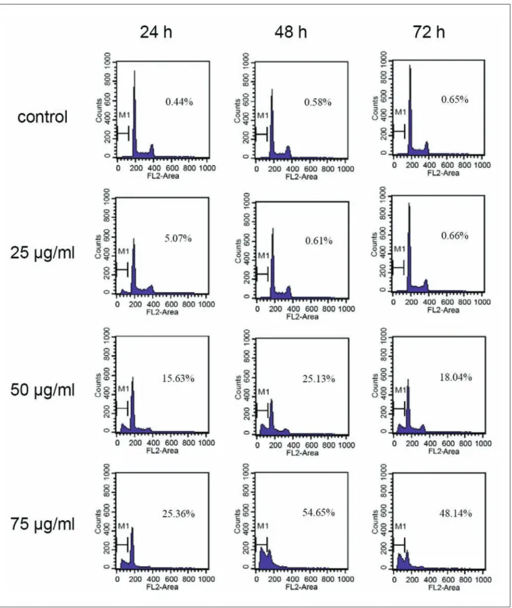 Figure 3. Cell cycle progression in crude methanolic extract of Mucuna macrocarpa (CMEMM)-treated cells