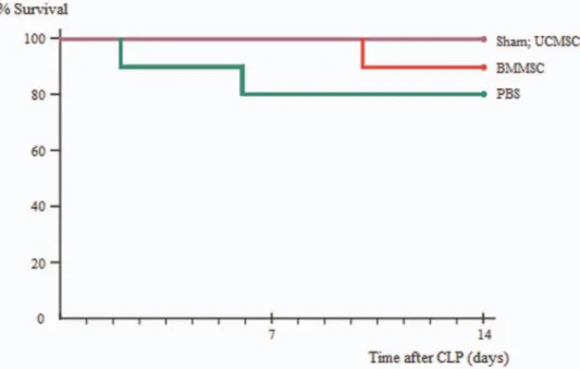 Figure 2. The  beneficial effects from MSC administration on  survival in  rats  with CLP-induced sepsis