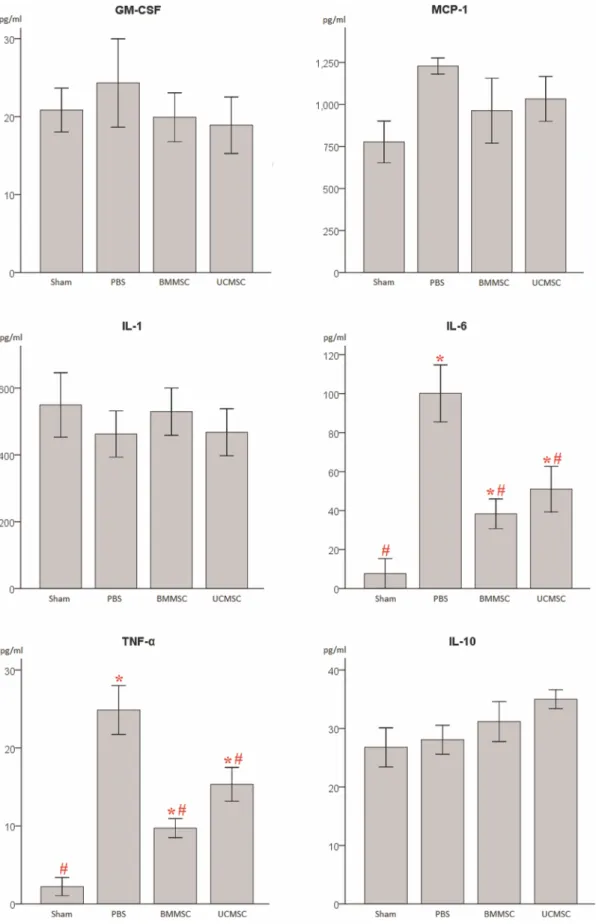 Figure 3.  Changes of  circulating inflammation-associated  cytokine profiles in  rats 18  hours after CLP