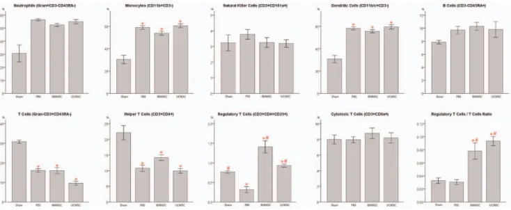 Figure 2 shows the  beneficial effects  from MSC  administration on  survival after  CLP-induced  sepsis in  rats