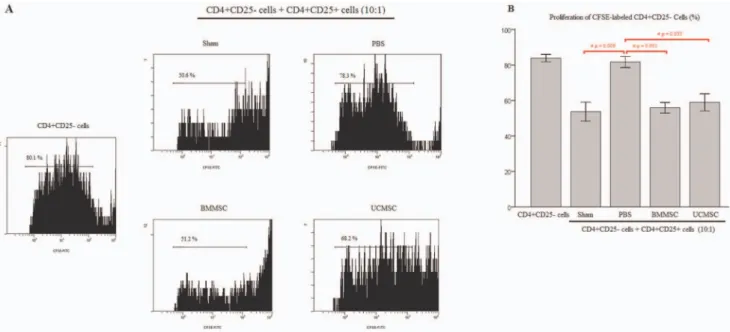 Figure  5.  Treg  cell  suppressive  function  in  rats  18  hours after  CLP.  (A) Analysis of  CFSE-labeled CD4+CD25-  cell  proliferation  by  flow  cytometry  after  pre-treatment  with  a  IL-2/CD3/CD28  mixture  was  shown