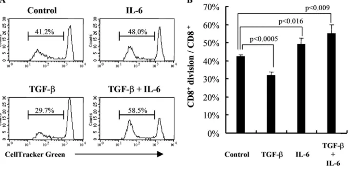Fig. 1. IL-6 restores the inhibitory effect of TGF- ␤ on CD8 ⫹ cell proliferation successfully