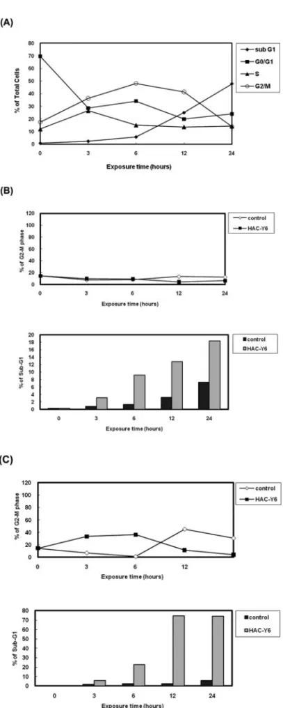 Figure 4. HAC-Y6 increases G2/M phase checkpoint protein expression. (A) Hep3B cells were treated with 0.08 μM HAC-Y6 for indicated durations.
