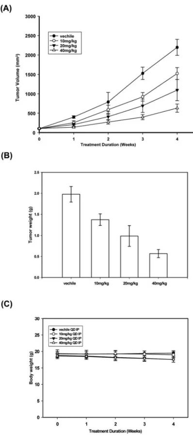 Figure 8. Effect of HAC-Y6 on Hep3B tumor growth in a mouse xenograft model. Male nude mice s.c