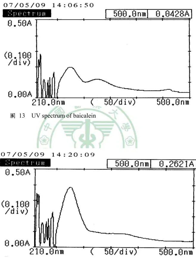 圖  13    UV spectrum of baicalein 