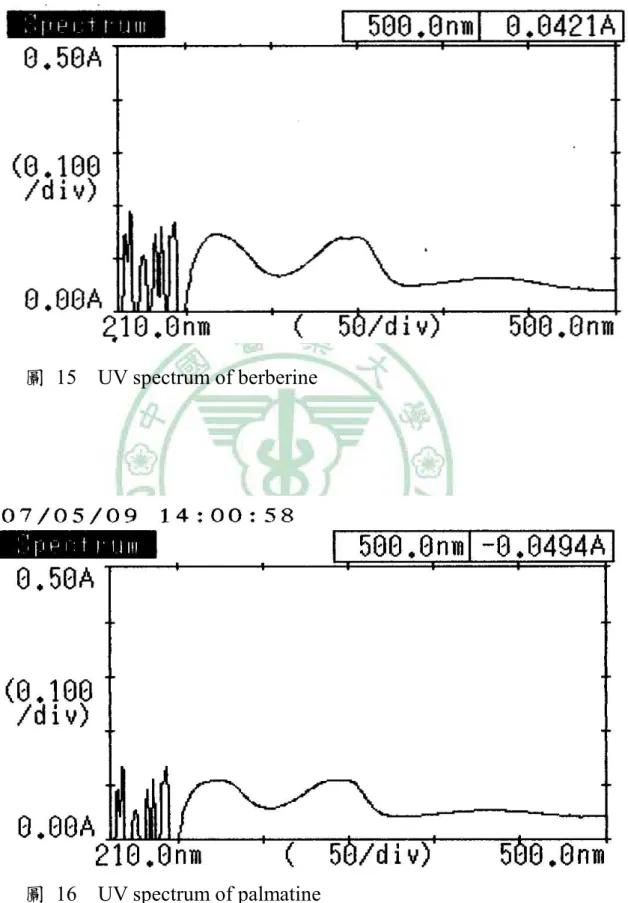 圖  15    UV spectrum of berberine 
