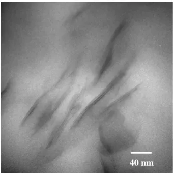 Figure 4: TEM photographs of the PETG containing 3phr Closite 15A and 3phr MPGN (Sample  10) nanocomposites (x400,000)