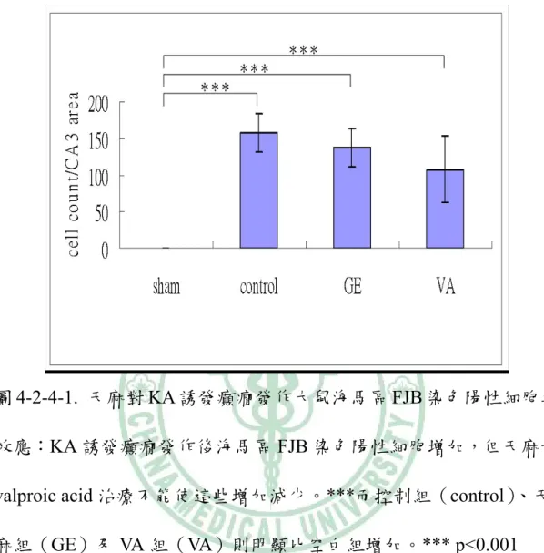 圖 4-2-4-1.  天麻對 KA 誘發癲癇發作大鼠海馬區 FJB 染色陽性細胞之 效應：KA 誘發癲癇發作後海馬區 FJB 染色陽性細胞增加，但天麻和 valproic acid 治療不能使這些增加減少。***而控制組（control）、天 麻組（GE）及 VA 組（VA）則明顯比空白組增加。*** p&lt;0.001 