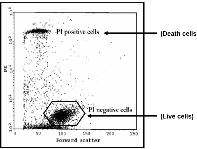 圖 4-2-A  流式細胞儀 Propidium Iodide 染色之細胞存活率分析圖。 