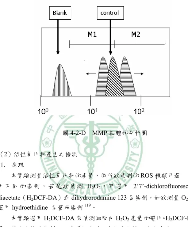 圖 4-2-D  MMP 軟體的分析圖 