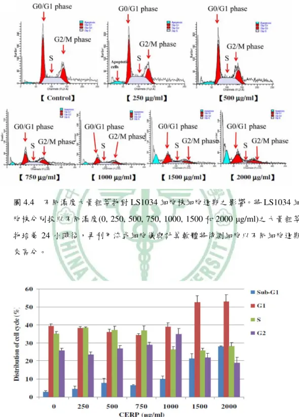 圖 4.4  不同濃度大黃粗萃物對 LS1034 細胞株細胞週期之影響。將 LS1034 細 胞株分別投以不同濃度(0, 250, 500, 750, 1000, 1500 和 2000 µg/ml)之大黃粗萃 物培養 24 小時後，再利用流式細胞儀與計算軟體將待測細胞以不同細胞週期 來區分。 圖 4.5  量化不同濃度大黃粗萃物對 LS1034 細胞株細胞週期之影響。將不同濃 度培養之各組細胞以不同細胞週期之比例量化呈現，大黃粗萃物實驗組與對照