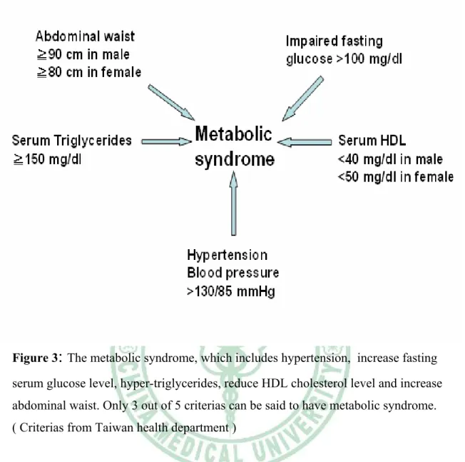 Figure 3 :  The metabolic syndrome, which includes hypertension,  increase fasting  serum glucose level, hyper-triglycerides, reduce HDL cholesterol level and increase  abdominal waist