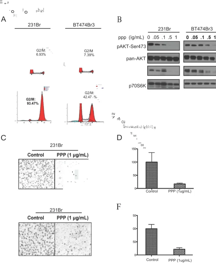 Figure  5.   Picropodophyllin  induces  G2/M  cell   cycle  arrest  and   inhibits  downstream signaling  and   function  of  IGF-IR.