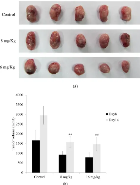 Figure 6. Antitumor effect of Dihydroaustrasulfone alcohol on a Lewis lung carcinoma- carcinoma-bearing tumor model in C57BL/6J mice