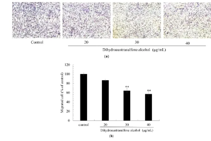 Figure 4. Eﬀects of Dihydroaustrasulfone alcohol on the MMP-2 and MMP-9 activities of A549 cells