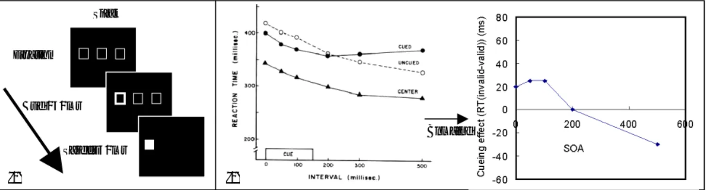 Figure II. Components of Visual Orienting: (1) study design; (2) valid curve is the cued curve and invalid curve is the un-cued one.