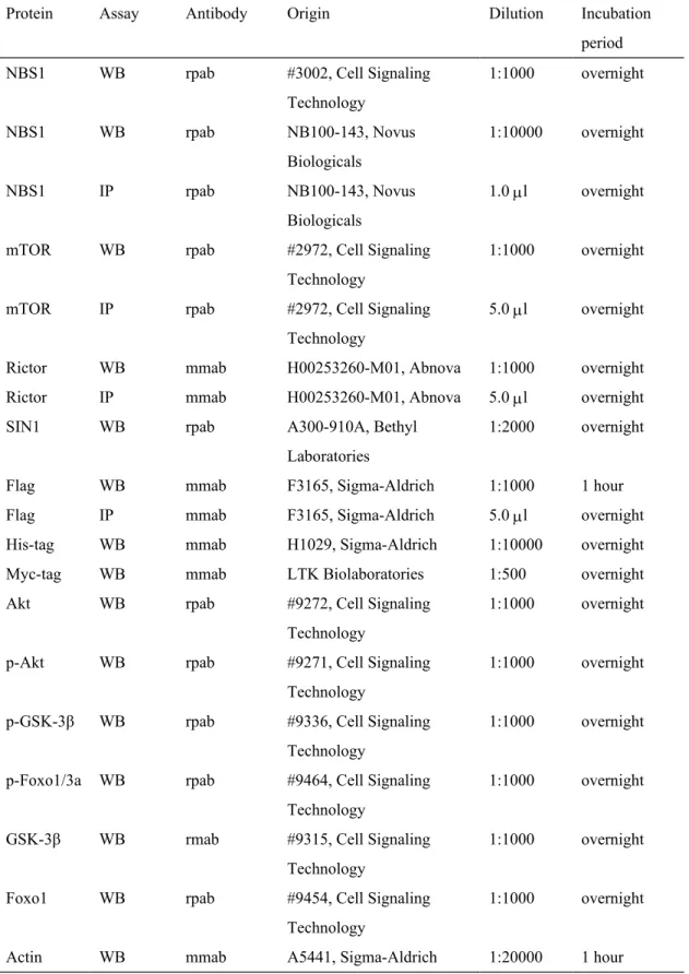 Table 2. List of proteins and characteristics of the corresponding antibodies used to detect the  proteins