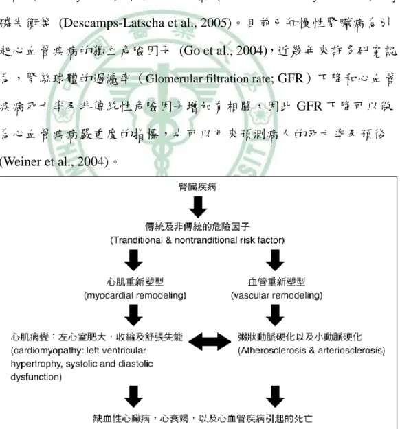 圖 2.1：腎臟疾病與心血管疾病之關系  (Brenner, 2005) 