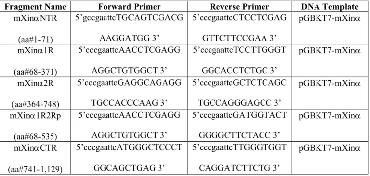 Table 1. List of primer pair sequences used in PCR to generate various mXin cDNA fragments.