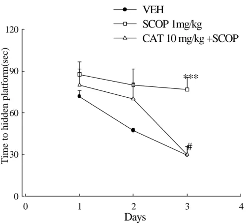 Fig. 25. Effects of catalpol (CAT, 10 mg/kg s.c.) on the spatial learning  in the water maze test in scopolamine (SCOP)-treated rats