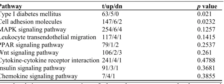 Table 1.  Pathway analysis