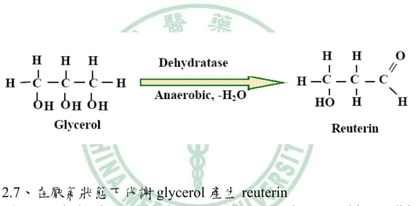 圖 2.7、在厭氣狀態下代謝 glycerol 產生 reuterin 