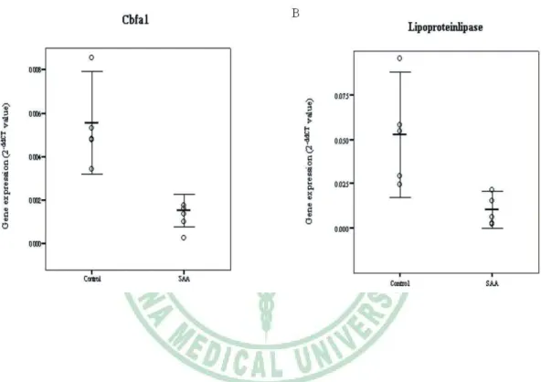 Figure 5. Comparison of differentiation potential by lineage-specific 