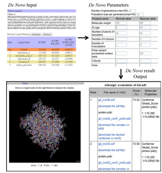 Fig. 5 The flowchart of de novo drug design: a follow-up option offers to one of the top 10 compounds after virtual screening