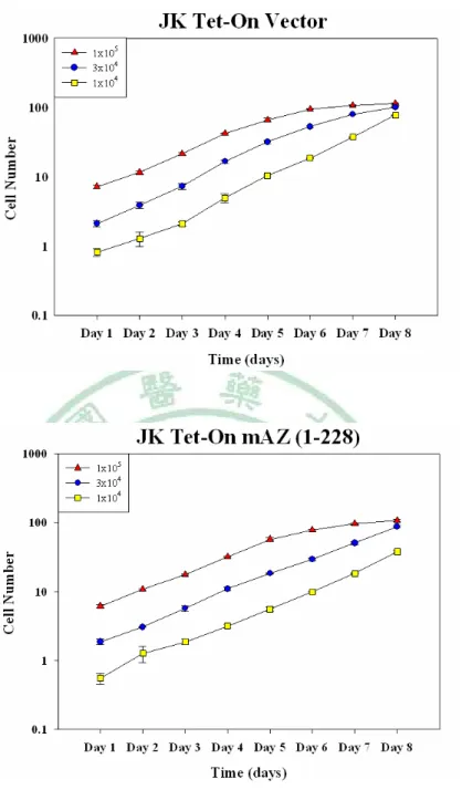 Fig. 2.2 JK Tet-On Vector ک JK Tet-On mAZ (1-228)  ಒझਲ਼ ғߏԔጕკ