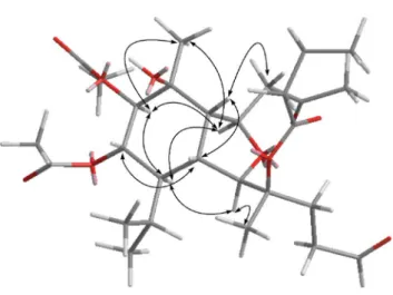 Fig. 4 Key NOESY correlations of 8.
