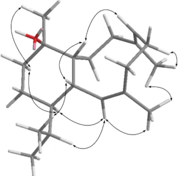 Fig. 5 Key NOESY correlations of 9.