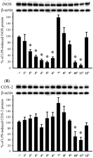 Fig. 8 Effect of compounds 1–12 on iNOS and COX-2 protein expression of RAW264.7 macrophage cells by immunoblot analysis