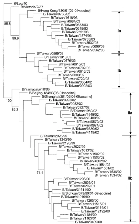 Figure 4a shows the phylogenetic relationships for influenza