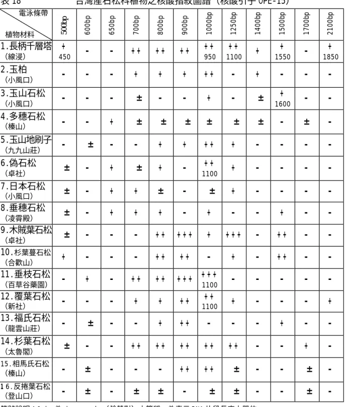 表 18            台灣產石松科植物之核酸指紋圖譜（核酸引子 OPE-15）       電泳條帶  植物材料  500bp 600bp 650bp 700bp 800bp 900bp 1000bp 1250bp 1400bp 1500bp 1700bp 2100bp 1.長柄千層塔  （線浸）  +   450  -   -   + +   + +   + +   + +   950  + +   1100  +   +   1550  -   +   1850  2.玉柏  （小風口）  -