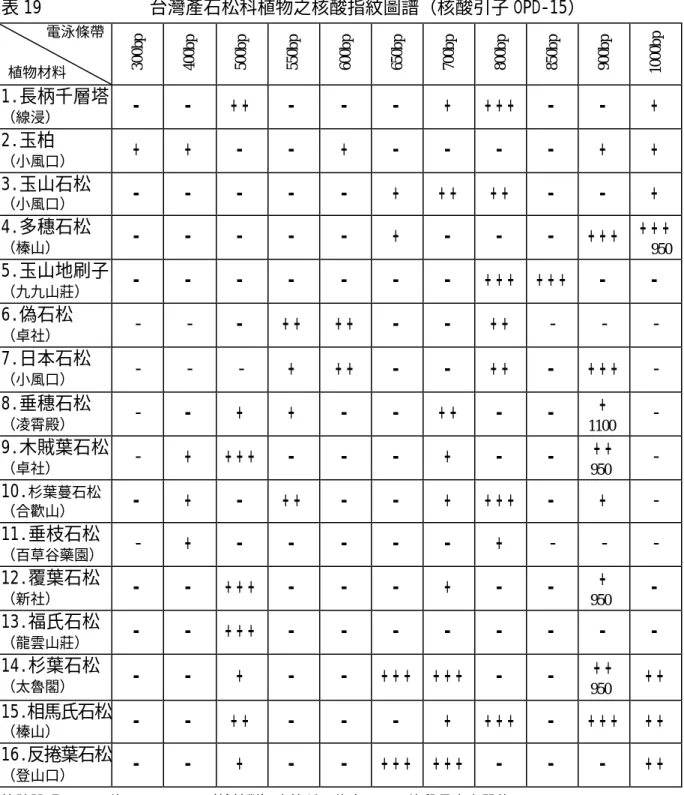 表 19            台灣產石松科植物之核酸指紋圖譜（核酸引子 OPD-15）       電泳條帶    植物材料  300bp 400bp 500bp 550bp 600bp bp650 700bp 800bp 850bp 900bp 1000bp 1.長柄千層塔  （線浸）  -   -   + +   -   -   -   +   + + +   -   -   +   2.玉柏  （小風口）  +   +   -   -   +   -   -   -   -   +   +   3.