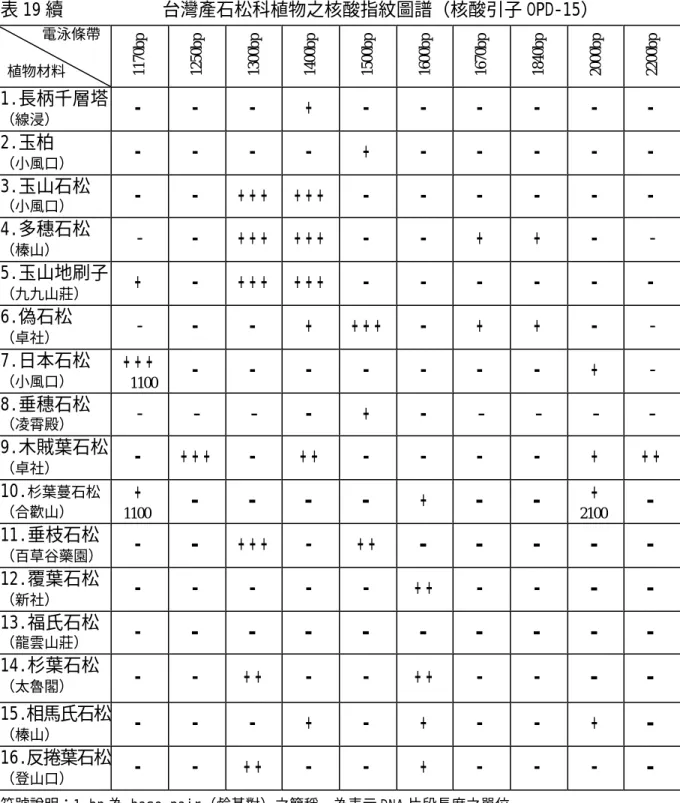 表 19 續           台灣產石松科植物之核酸指紋圖譜（核酸引子 OPD-15）       電泳條帶    植物材料 1170bp 1250bp 1300bp 1400bp bp1500 1600bp 1670bp 1840bp 2000bp 2200bp 1.長柄千層塔  （線浸）  -   -   -   +   -   -   -   -   -   -   2.玉柏  （小風口）  -   -   -   -   +   -   -   -   -   -   3.玉山石松  （小風口）