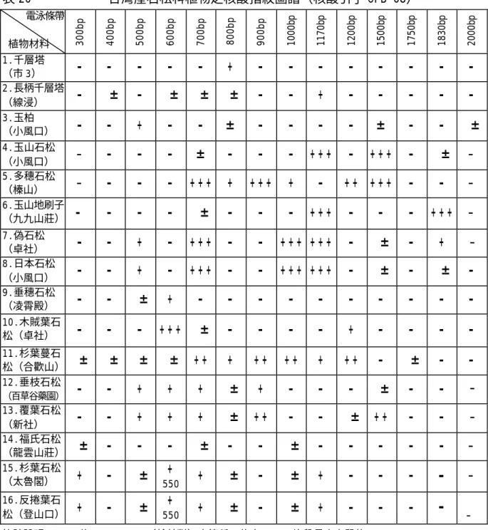 表 20            台灣產石松科植物之核酸指紋圖譜（核酸引子 OPB-08）      電泳條帶   植物材料  300bp 400bp 500bp 600bp 700bp 800bp bp900 1000bp 1170bp 1200bp 1500bp 1750bp 1830bp 2000bp 1.千層塔  （市 3）  -   -   -   -   -   +   -   -   -   -   -   -   -   -   2.長柄千層塔  （線浸）  -     ±  -     ± 