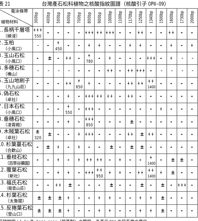 表 21            台灣產石松科植物之核酸指紋圖譜（核酸引子 OPW-09）        電泳條帶  植物材料  300bp 400bp 500bp 600bp 700bp 800bp 900bp 1000bp 1100bp 1170bp 1250bp 1340bp 1500bp 1600bp 1730bp 2000bp 1.長柄千層塔    （線浸） + + +  550  -   -   -   -   + + + + +  + + + -   -   + +   -   -   + + 