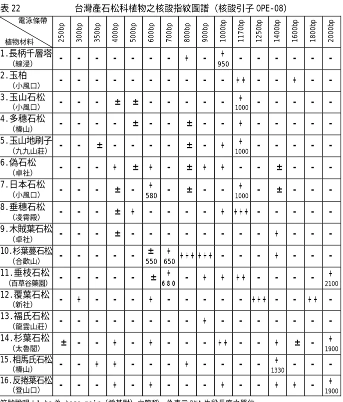 表 22            台灣產石松科植物之核酸指紋圖譜（核酸引子 OPE-08）       電泳條帶  植物材料  250bp 300bp 350bp 400bp 500bp 600bp 700bp 800bp 900bp 1000bp 1170bp 1250bp 1400bp 1600bp 1800bp 2000bp 1.長柄千層塔    （線浸）  -   -   -   -   -   -   -   +   -   +   950  -   -   -   -   -   -   2.玉柏