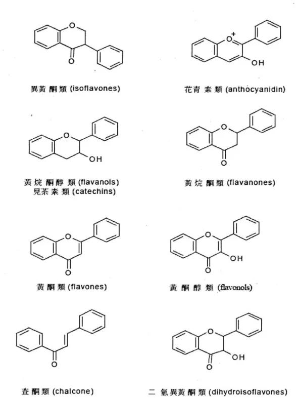 圖 31 類黃酮之化學結構 (162)