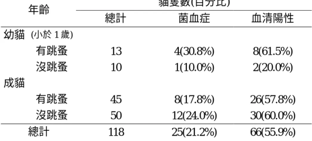表 1.  菌血症與血清抗體陽性盛行率之分佈  貓隻數(百分比)  年齡  總計  菌血症  血清陽性  幼貓  (小於 1 歲)  有跳蚤  13 4(30.8%)  8(61.5%)  沒跳蚤  10 1(10.0%)  2(20.0%)  成貓  有跳蚤  45 8(17.8%)  26(57.8%)  沒跳蚤  50 12(24.0%)  30(60.0%)  總計  118 25(21.2%)  66(55.9%)  表 2