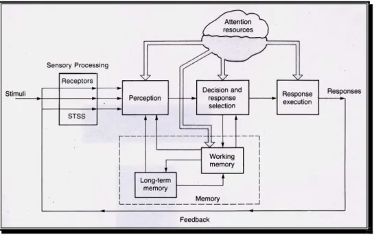 圖 2-3 、 訊 息 處 理 模 型 【 Engineering psychology and human  performance (Wickens,1992,p.17)】  2-2-2-1  知覺過程          假使個體的視覺系統出現問題，接踵而來地，可能導致知覺判斷出 現異常，或是反應選擇發生錯誤。因此，在缺乏視覺資訊或是視知覺缺 失的情況下，動作的執行或是物體定位將變得較不準確（Jeannerod,  1988; Schoemaker et al., 2001）。Hulme 等人（1982