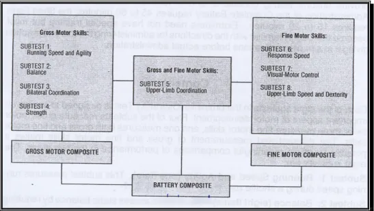 圖 2-4 BOTMP 之架構【Bruininks-Oseretsky Test of Motor  Proficiency: Manual (Bruininks, 1978, p.12)】 