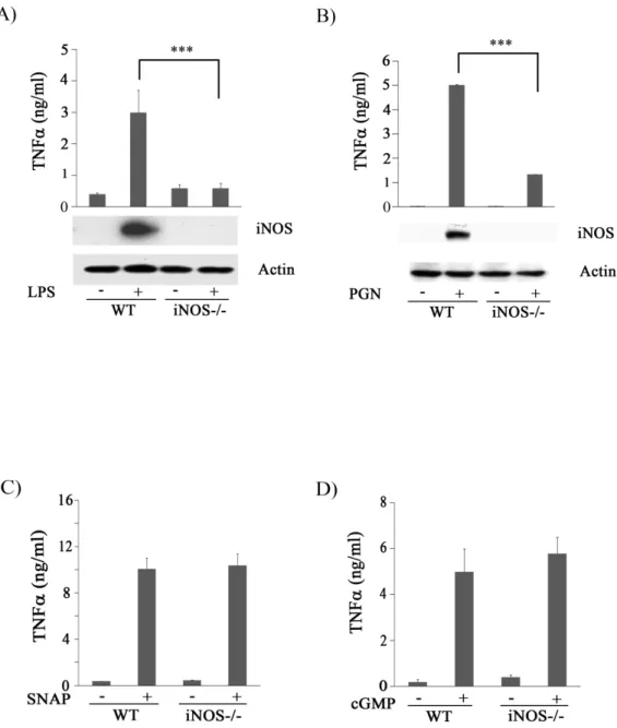 Figure 2. iNOS is required for TNF secretion mediated by LPS and  PGN. 