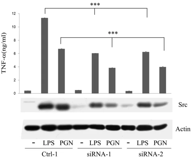 Figure 8. LPS- and PGN-mediated TNF secretion was inhibited by  src-specific siRNA. 